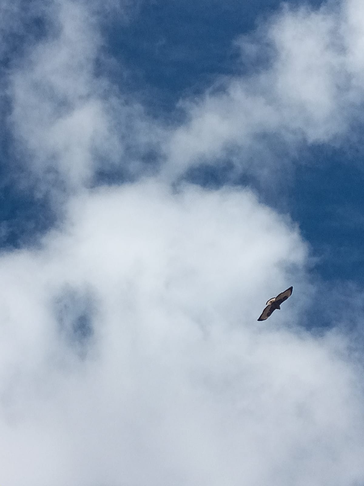 Fotografía Suitucancha